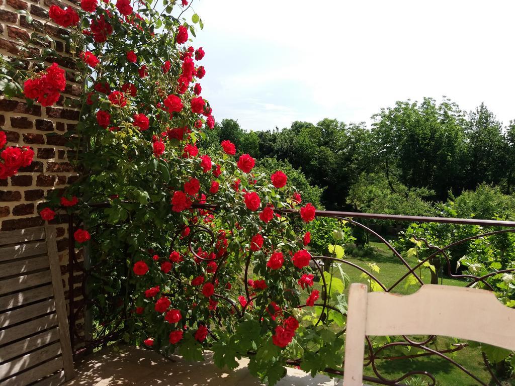 B&B De Kersentuin Borgloon Zewnętrze zdjęcie